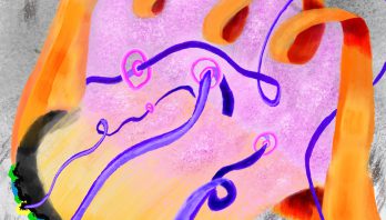 Illustration showing orange looping ribbons over a pink area that fades to yellow. There are purple curling lines over the pink/yellow area.