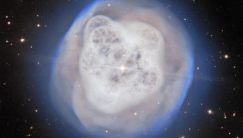 A large white and tan fuzzy object sits on a dark background dotted with stars. The object is convoluted with protruding areas and a bright white star in the center.