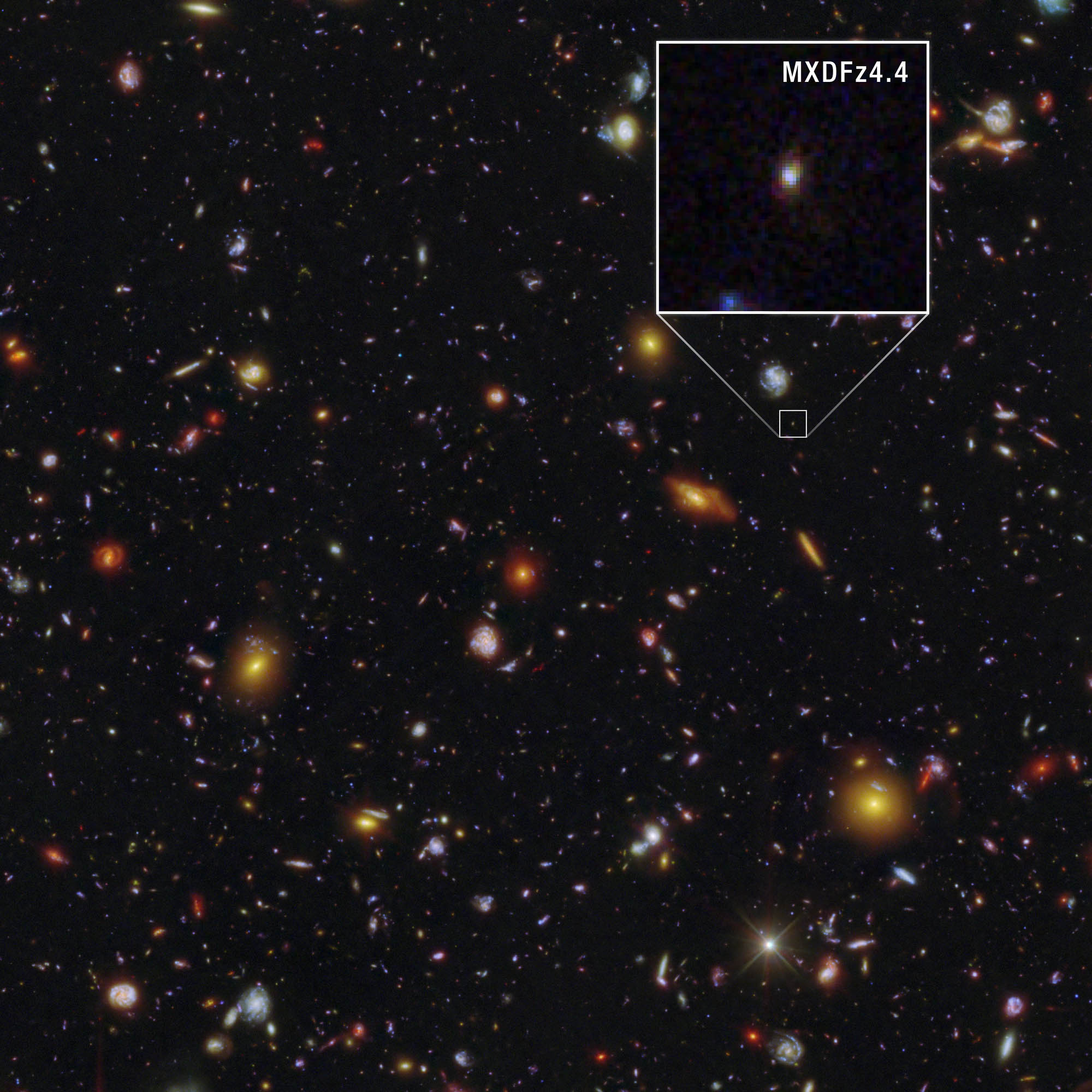 Thousands of galaxies appear across the black background of space. The galaxies range in size, from big blobs and larger face-on spirals to short lines and tiny dots. The galaxies appear in a variety of colors, including orange, white, pink, and blue. One prominent foreground star appears toward the lower right with several diffraction spikes. A white square highlights one tiny pinpoint of blue light in the top third, which is blown up in a box above it and labeled MXDFz4.4. The galaxy has a light blue core with some yellow and red blotches around its edges.